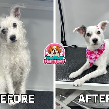 Fluff N Buff - Pet Groomers Near Me - Fairfield, California