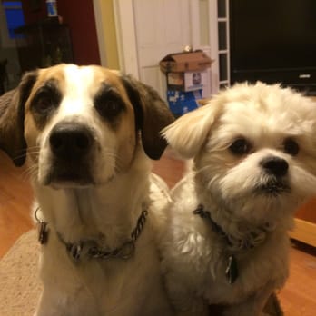 Wignall Animal Hospital, A Thrive Pet Healthcare Partner - Veterinarians Near Me - Dracut, Massachusetts Wignall Animal Hospital, A Thrive Pet Healthcare Partner - Veterinarians Near Me - Dracut, Massachusetts