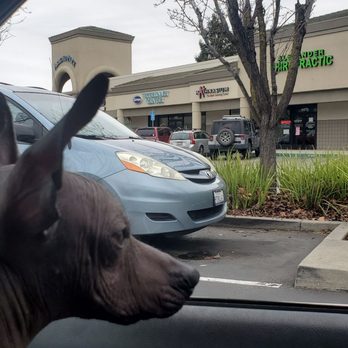 Arroyo Veterinary Center - Veterinarians Near Me - Livermore, California