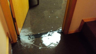 Slide of Butler Restoration