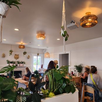 Caje Coffee Roasters - Indoor, very cozy with a fireplace - Coffee Roasteries Near Me - Ventura, California Caje Coffee Roasters - Indoor, very cozy with a fireplace - Coffee Roasteries Near Me - Ventura, California