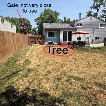 Challengers Tree Service - Tree Services Near Me - Grove City, Ohio Challengers Tree Service - Tree Services Near Me - Grove City, Ohio