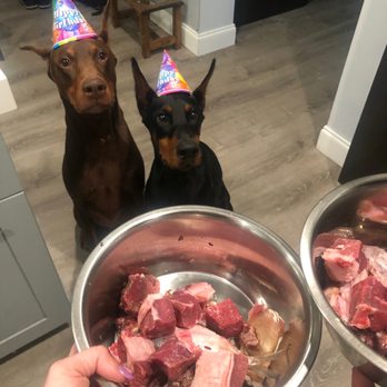 Raw Feeding Miami - Birthday Raw! - Pet Services Near Me - Miami, Florida