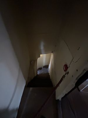 Shakespeare's Birthplace by null