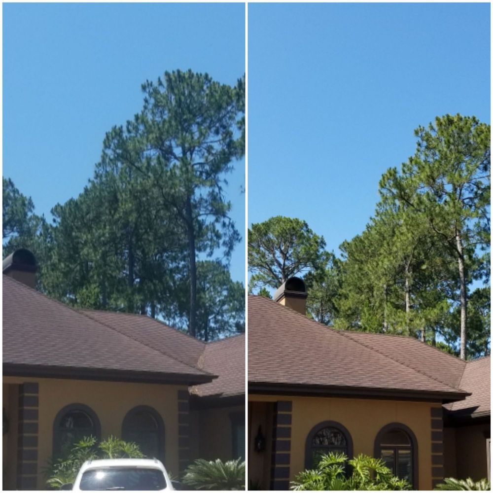 Slide of Ryno Roof Restoration