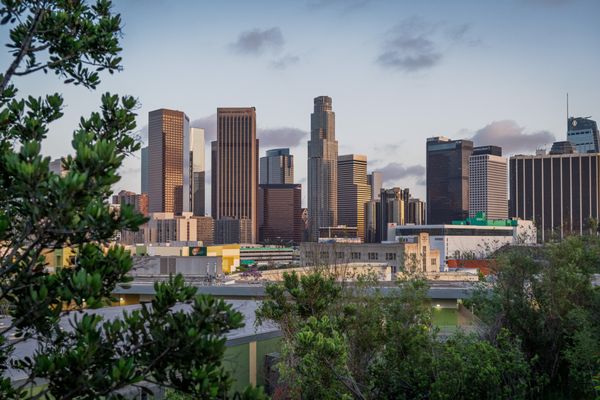 Vista Hermosa Natural Park, Mountains Recreation & Conservation Authority by null