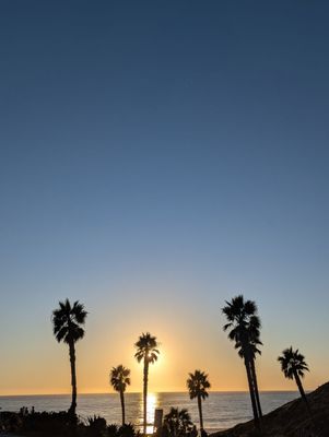 Fletcher Cove Beach Park by null