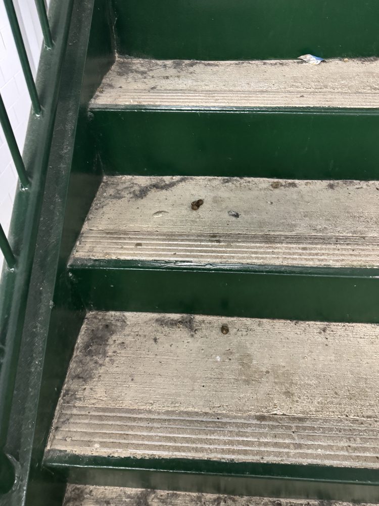 The Marshall - property management company in Birmingham, AL