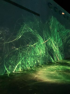 OASIS immersion by null