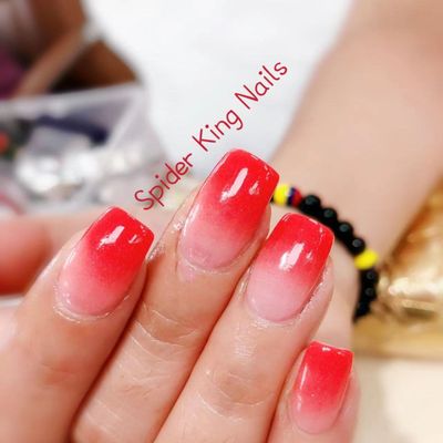 SPIDER KING NAILS & SPA - 104 Photos - 217 Huttleston Ave, Fairhaven