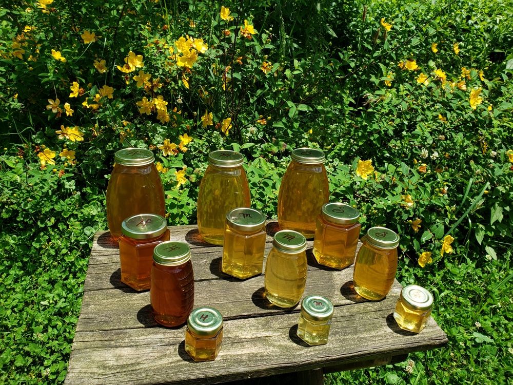 Hat Trick Honey - beekeeping in Pottstown, PA