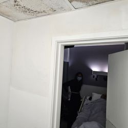 Lakeview Terrace - Unreal that there is mold next to sick people