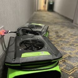 GreenRoom Remediation - Mold Remediation & Water Damage restoration