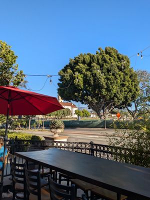 Twisted Oak Tavern by null