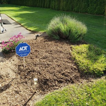Able Tree Service - Stump ground into mulch - Tree Services Near Me - Arlington, Washington