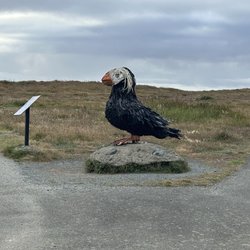 Coquille Point