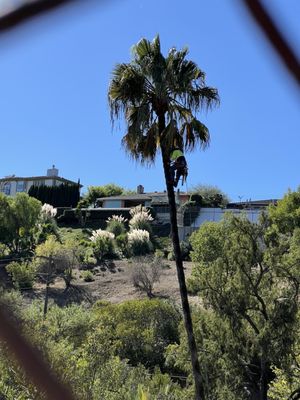 Hollywood Reservoir by null