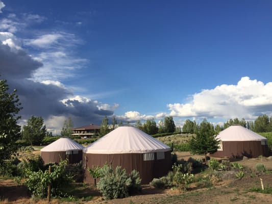 Cave B Estate Winery-Woodinville tasting room by null