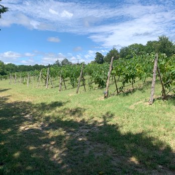 BarnHill Vineyards - Venues & Event Spaces Near Me - Anna, Texas