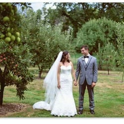 Liberty Hall Museum - The apple trees