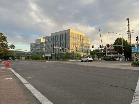 University of Oregon by null