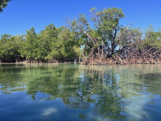 Playa La Jungla by null
