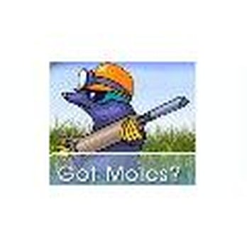 Mole Masters - Wildlife Control Near Me - Clackamas, Oregon Mole Masters - Wildlife Control Near Me - Clackamas, Oregon