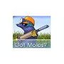 Photo of Mole Masters