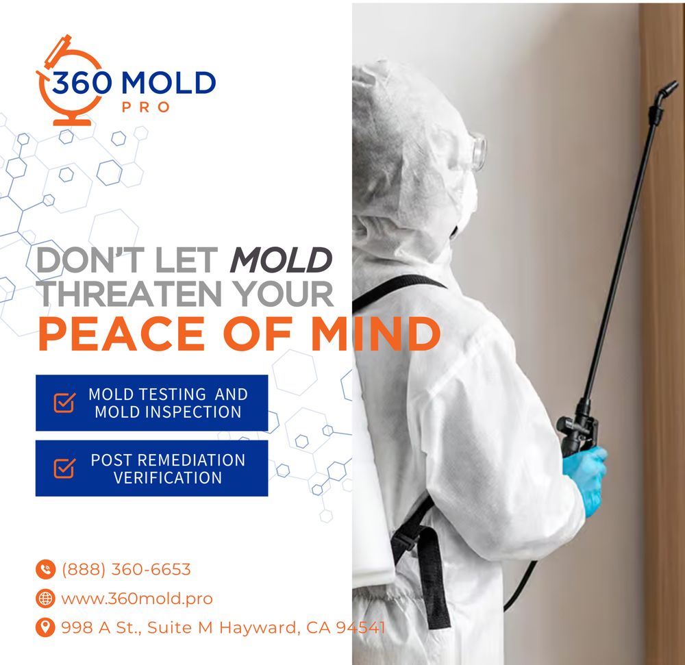 360 Mold Pro - mold inspector in Hayward, CA