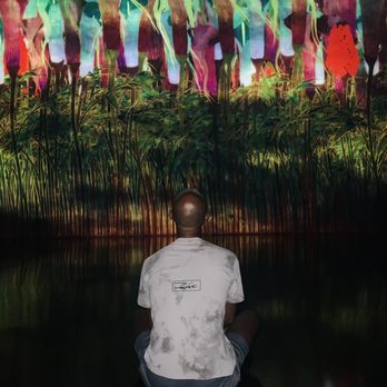 Superblue Miami - Proliferating Immense Life - A Whole Year Per Year - Art Museums Near Me - Miami, Florida Superblue Miami - Proliferating Immense Life - A Whole Year Per Year - Art Museums Near Me - Miami, Florida