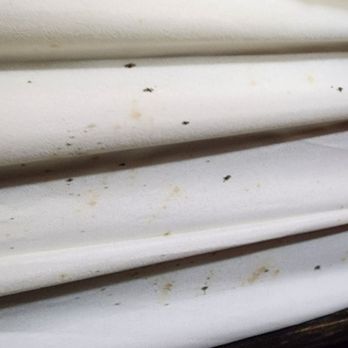 Quality Inn - Disgusting sheets - Hotels Near Me - Wayne, New Jersey