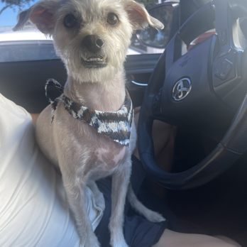 Furr Paradise - Pet Groomers Near Me - Santa Ana, California Furr Paradise - Pet Groomers Near Me - Santa Ana, California