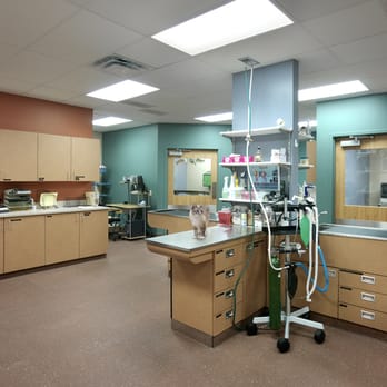 THE CENTER FOR ANIMAL WELLNESS - Updated January 2025 - 33 Photos