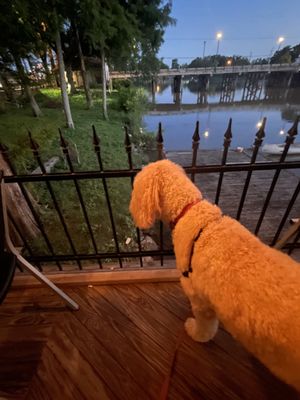 Pat's Fisherman's Wharf Restaurant by null