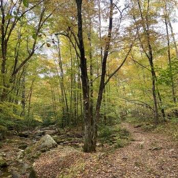 Cascade Waterfall - Hiking Near Me - North Adams, Massachusetts