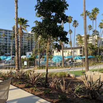 ARLO - View from our seat. The pool - New American Near Me - San Diego, California ARLO - View from our seat. The pool - New American Near Me - San Diego, California