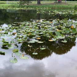 Eufaula National Wildlife Refuge