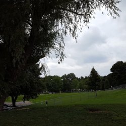 Grand Haven Dog Park - Nice big tree.