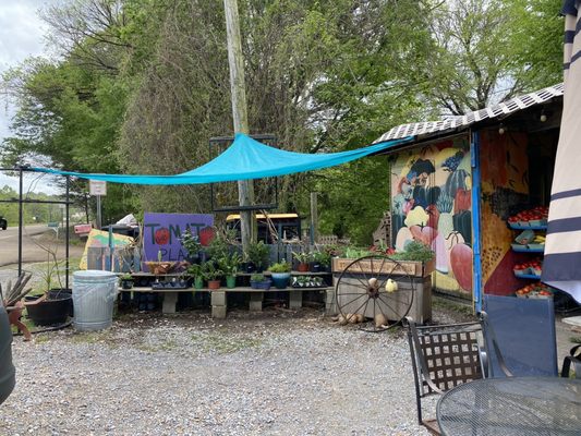The Tomato Place by null