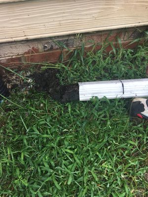 APS WINDOW & GUTTER CLEANING - Updated November 2024 - 18 Photos & 70