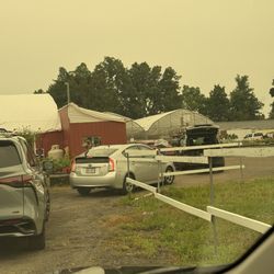 Sunscape Farms