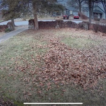 C&G Services - Before side yard clean up - Landscaping Near Me - Lincoln, Illinois