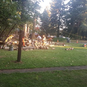 Pa's Tree Services - Great team!! - Tree Services Near Me - Vancouver, Washington