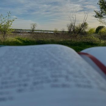 Shoreline Trail - A bench nearby the marsh area. Perfect spot for joirnaling! - Hiking Near Me - The Colony, Texas Shoreline Trail - A bench nearby the marsh area. Perfect spot for joirnaling! - Hiking Near Me - The Colony, Texas