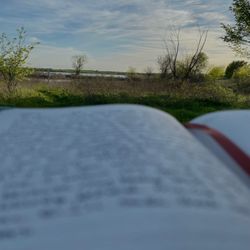 Shoreline Trail - A bench nearby the marsh area. Perfect spot for joirnaling!