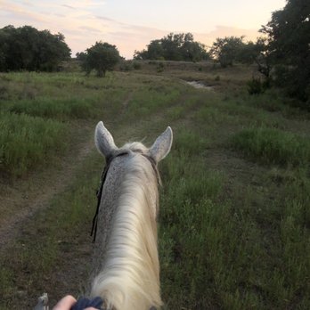 Travis P Trail Rides - Horseback Riding Near Me - Blanco, Texas Travis P Trail Rides - Horseback Riding Near Me - Blanco, Texas