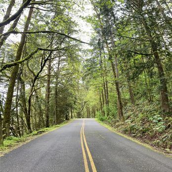 Paradise Point State Park - Parks Near Me - Ridgefield, Washington Paradise Point State Park - Parks Near Me - Ridgefield, Washington