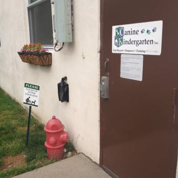 Canine Kindergarten - Pet Sitting Near Me - Verplanck, New York Canine Kindergarten - Pet Sitting Near Me - Verplanck, New York