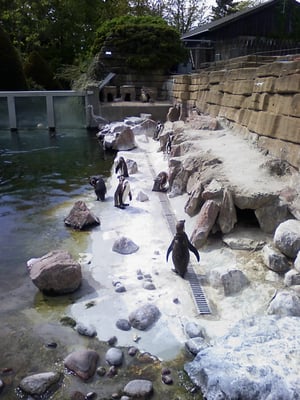 Copenhagen Zoo by null