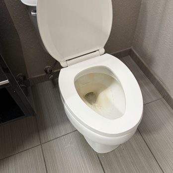 Studio 6 - Dirty toilet - Hotels Near Me - Coral Springs, Florida Studio 6 - Dirty toilet - Hotels Near Me - Coral Springs, Florida